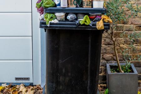 secure trash cans to keep Opossums away